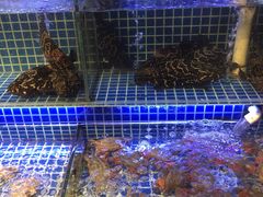水产区-必点海鲜·鲅鱼水饺(鞍山西道店)