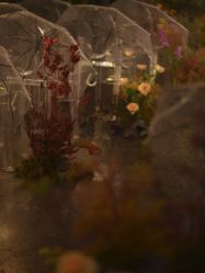 点击看大图 -琥珀婚礼策划AMBER WEDDING