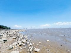 -上海吴淞炮台湾国家湿地公园