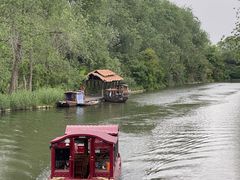 -溱湖国家湿地公园