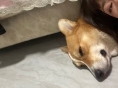 -星巴克(天津大悦城第二店)