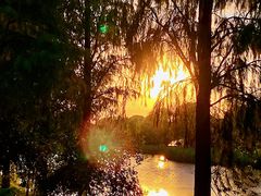 -贡湖湾湿地公园