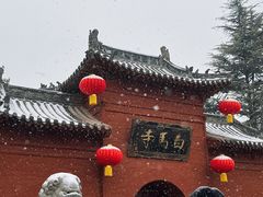 -洛阳白马寺