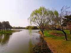 -尚贤河湿地