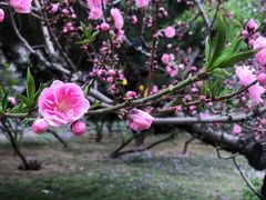 -朝阳公园