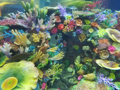 -成都浩海立方海洋公园