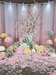 -DC大蔡婚礼策划(李公堤店)