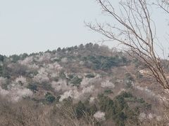 -拾螺记螺蛳粉