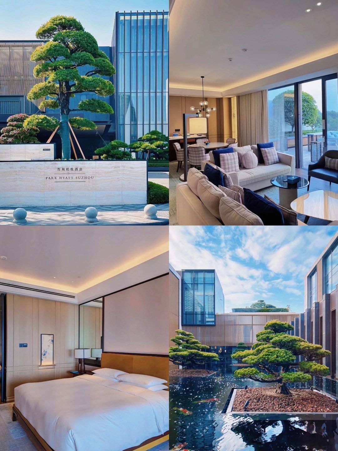 来苏州旅行 | 总要住一次柏悦酒店吧