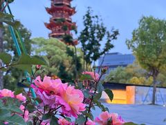 -龙华寺