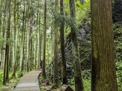 -雁荡山大龙湫景区