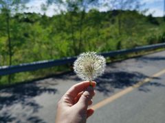 -广鹿岛景区