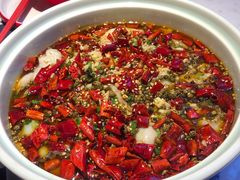 黑豆花水煮鱼-舞辣辣·川菜·黑豆花水煮鱼(卓悦汇店)