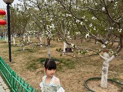 -燕郊植物园