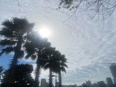 -金鸡岭桥头公园