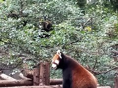 -昆明动物园