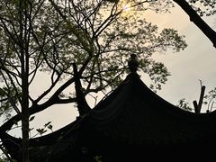 -拙政园