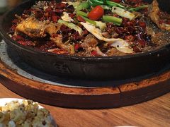 -老板恋上鱼(恒隆广场店)