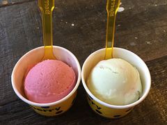 -莓园冰淇淋店
