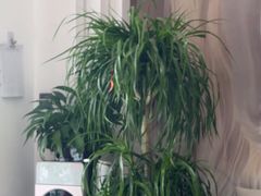 -王府井百货(中州中路店)