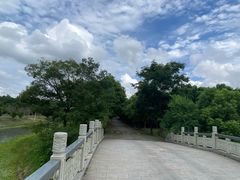 -上海海湾国家森林公园