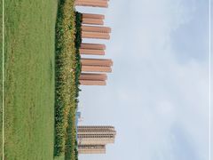 -映月湖中央公园