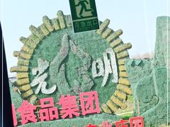 -上海都市菜园
