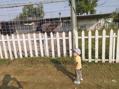 -上海长兴岛郊野公园