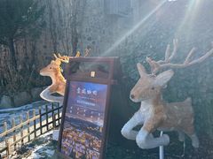 -云端咖啡(山顶教堂店)