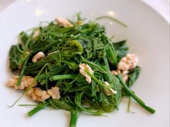 鲜桃仁丝瓜尖-惠丰堂饭庄·烤鸭·京味菜(翠微路店)