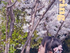 -上海外国语大学(虹口校区)