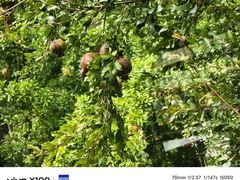 -西安外国语大学(长安校区)