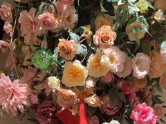 -LE SHARE洛笙·花园西餐(北京路步行街店)