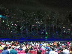 -三亚红色娘子军演艺公园景区