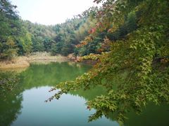 -千岛湖龙川湾