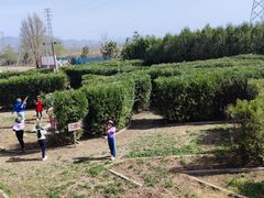 -亲兄弟真人CS团建拓展基地