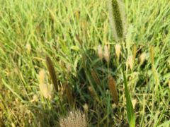 -敕勒川草原文化旅游区