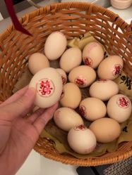 -宝生月子中心(民治店)