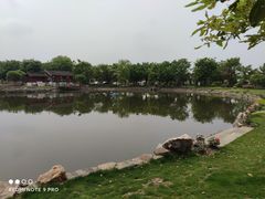 -鹅湖玫瑰文化园