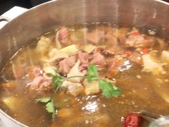 -筋头巴脑牛一锅(朝阳路总店)