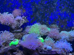 -北海·海洋之窗