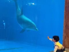 -华夏文旅海洋公园