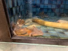 -官也街澳门火锅(新源里店)