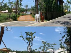 -天目湖涵田度假村
