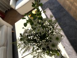 -HEYAN荷妍专业脱毛连锁机构