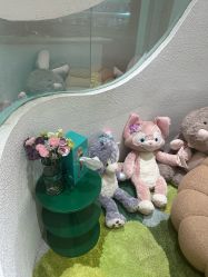 -薇薇安花系SPA