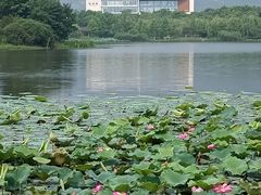 -江南大学(蠡湖校区)