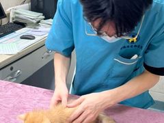 -动物缘宠物医院·骨科·猫科(西二环店)