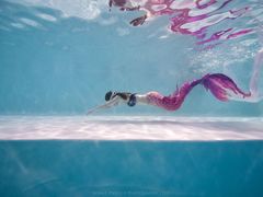 -上海潜殿潜水中心