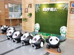 -都江堰中华大熊猫苑